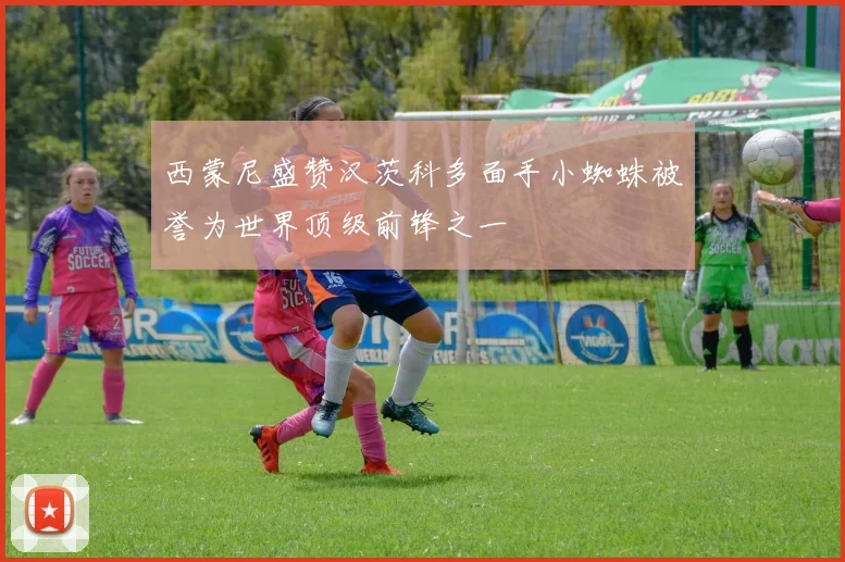 西蒙尼盛赞汉茨科多面手小蜘蛛被誉为世界顶级前锋之一