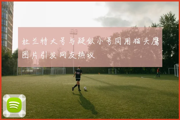 杜兰特大号与疑似小号同用猫头鹰图片引发网友热议