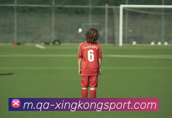 星空足球平台生态图